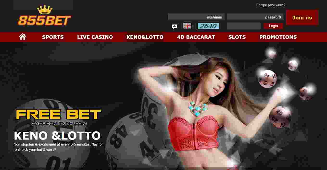 Giấy chứng nhận hoạt động hợp pháp của Betvip t org - Betvip
