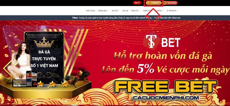 Sbotop và Chính sách của Tổ chức - Sbotop
