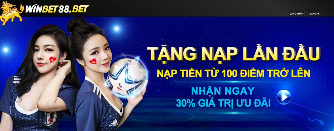 Dịch vụ cao cấp Hl8 - Hl8