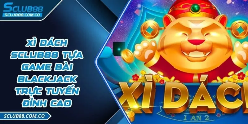 Thông tin về trang web cổng thông tin giải trí 1Xbet Bet - 1Xbet