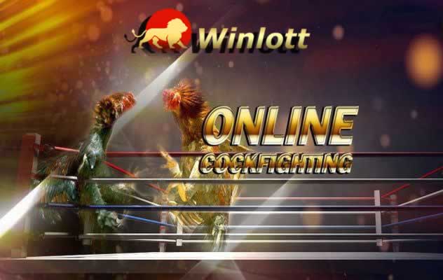 Những thành tựu của Vn123 (Mô tả ngắn gọn) - Vn123