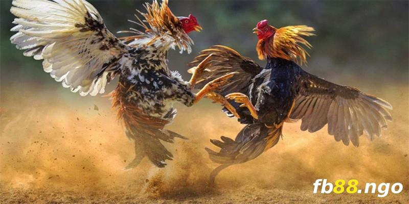 Tôi sẽ chia sẻ cách chơi Keno Vn138 trực tuyến - Vn138