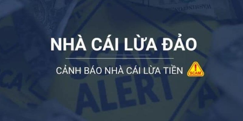 Giấy phép và danh tiếng của công ty game cấp Vesovn - Vesovn