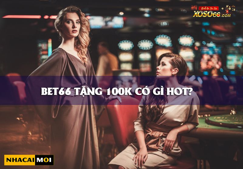 Trở thành nhà phân phối 168Vn và tận hưởng những ưu đãi độc quyền - 168Vn