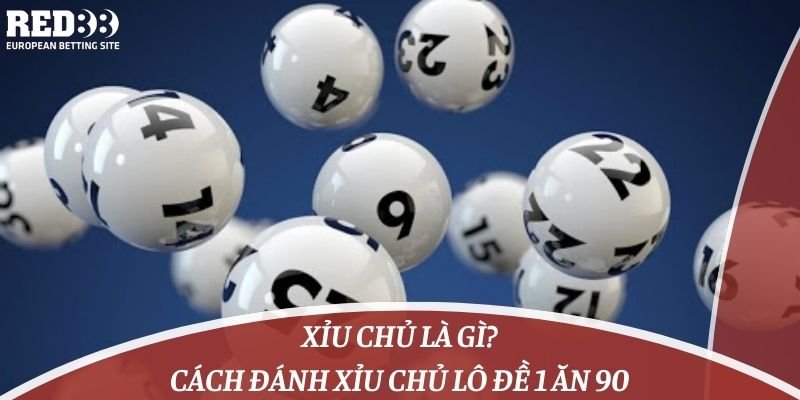 Liệu công ty được xếp hạng Zbet88 này có đang lừa dối người chơi? - Zbet88