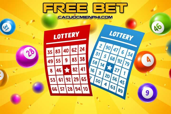 Hãy cùng điểm qua một số lựa chọn giải trí hấp dẫn được xếp hạng Kubet88 - Kubet88