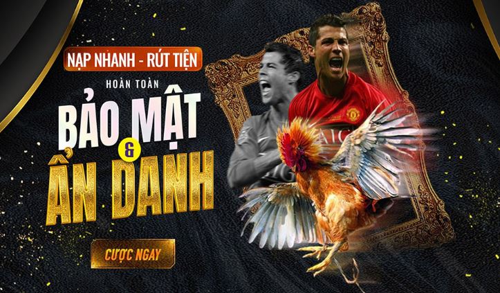 Hãy cùng thưởng thức các trận đấu thể thao và theo dõi những trận bóng đá đỉnh cao với Bk8866! - Bk8866