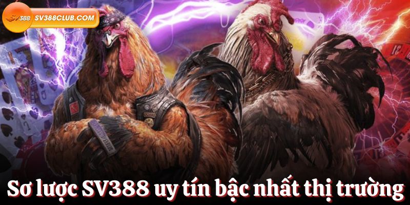 Tổng quan về cửa hàng Mobi66 nổi tiếng - Mobi66