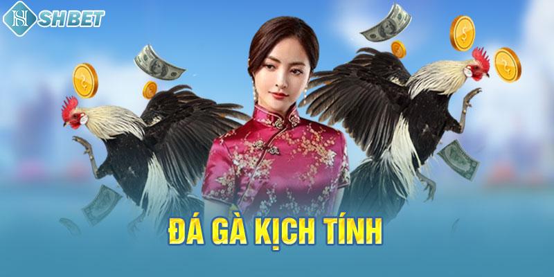 Tôi cần biết gì khi đặt cược vào các sự kiện cấp độ 126Bet? - 126Bet