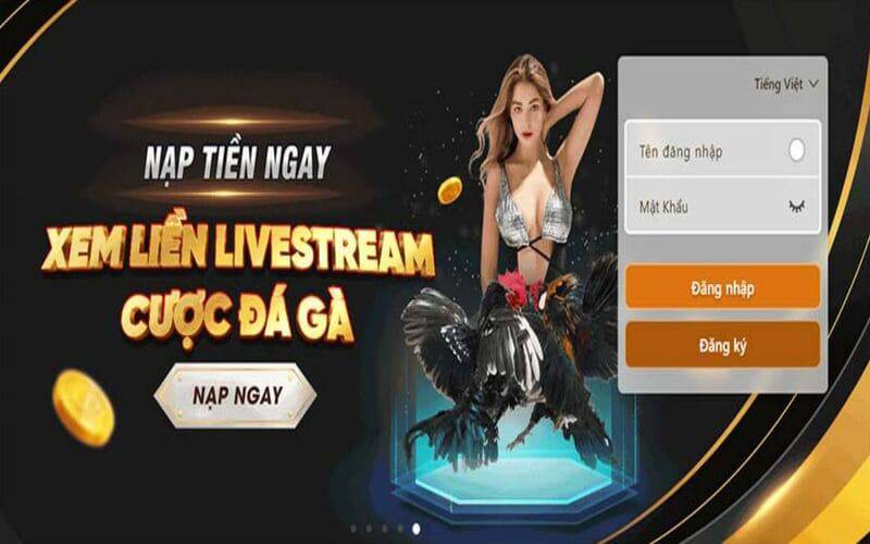 Khi nhận được thông tin khuyến mãi cấp Vip88, vui lòng chú ý đến những điểm sau - Vip88