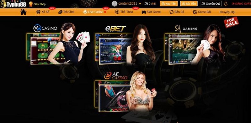 Yêu cầu để trở thành thành viên đại lý Hq88 - Hq88