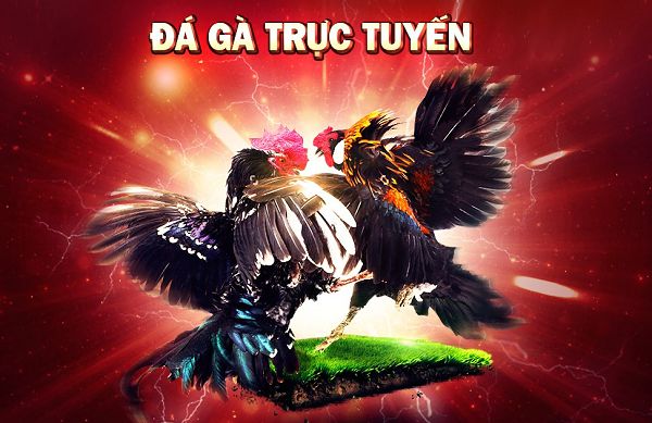 G168 King chi trả tiền thưởng cho người chơi như thế nào? - G168