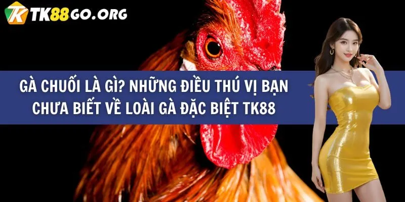 Giao dịch gửi và đổi tiền Lixi88 - Lixi88