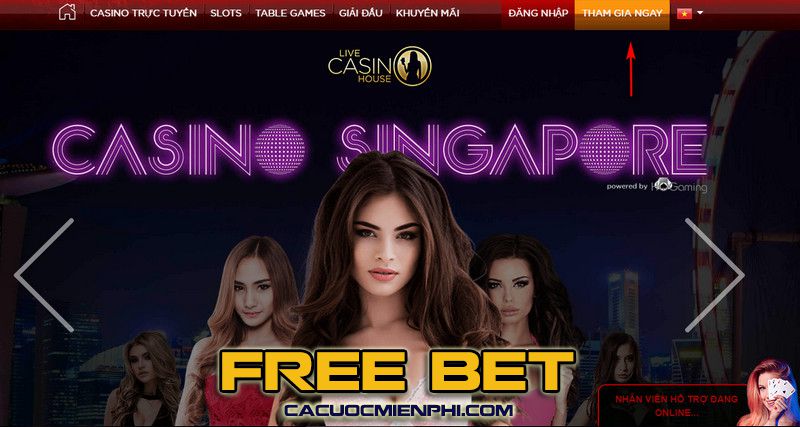 Rất nhiều thành viên 6Sports đã tham gia - 6Sports