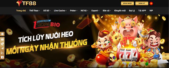 Tập đoàn Neo79 – Thương hiệu này có nguồn gốc từ đâu? - Neo79