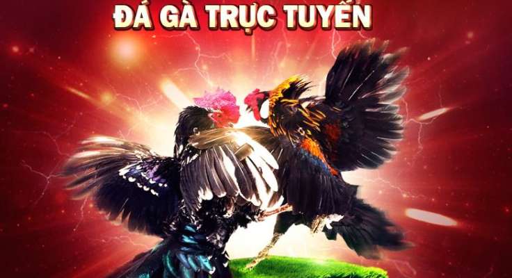 Các sản phẩm cá cược độc đáo của Bet999 Gaming - Bet999