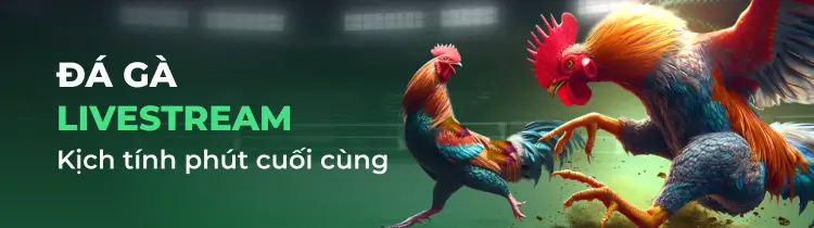 Cách tải game Debet về điện thoại - Debet