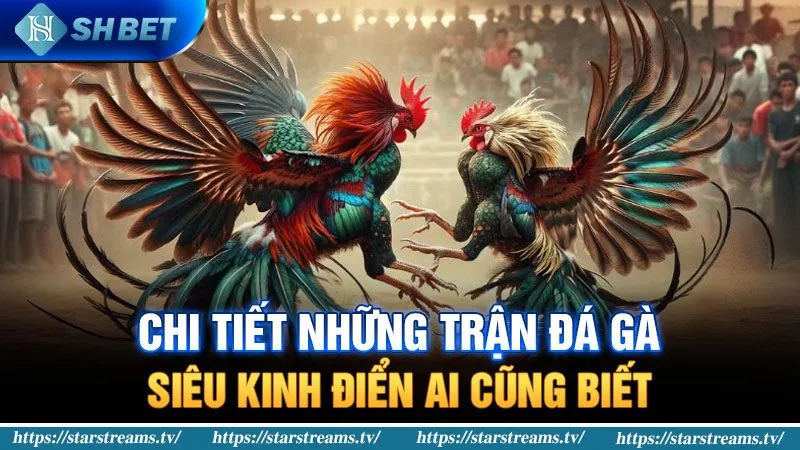 Điều khoản khuyến mãi Fic88 để nhận 50000 - Fic88